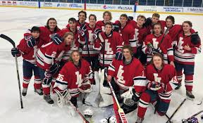 Image result for Adur Skater Hockey Club