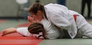 Image result for Carn Brea Karate Kai