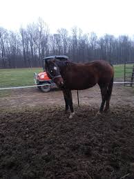 Image result for Bletchingly Badminton Club