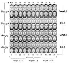 Image result for 衝動制御障害BPD