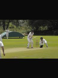 Image result for Hales Cricket Club