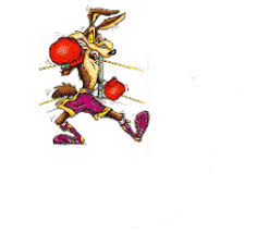 Image result for Garnock Valley Amateur Boxing Club