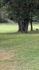 Image result for Garesfield Golf Club