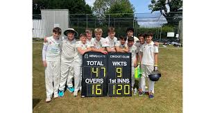 Image result for Tadworth Cricket Club
