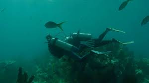 Image result for Duchy Divers