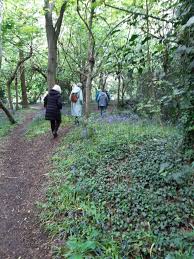 Image result for Beckenham and Penge Scrabble Club
