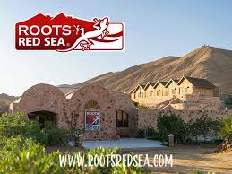 Image result for Birmingham BSAC 25