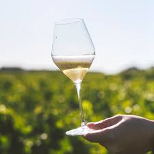 Image result for [Champagne]