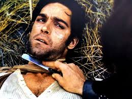 Attēlu rezultāti vaicājumam “Fuligo licentii young”