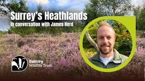 Image result for Surrey Heath Slammers