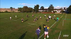 Image result for Colfeian Sports Club