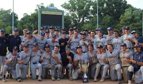 Image result for Norwich Iceni Baseball Club