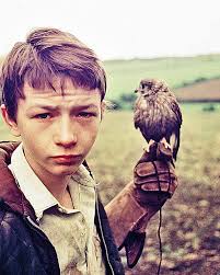 Kuvahaun tulos haulle kes