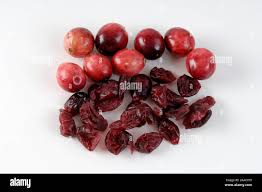 Attēlu rezultāti vaicājumam “Vaccinium vitis-idaea fruit”