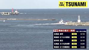 Hasil gambar untuk tsunami jepang