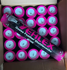 Image result for Camelford Badminton Club