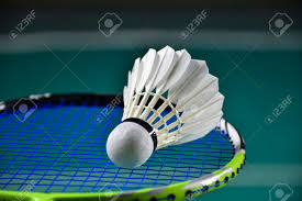 Image result for Greenmeadow Badminton Club