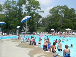 Image result for Thornaby Amateur Swimming Club