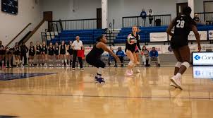 Image result for York University Volleyball Club