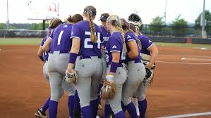 Image result for Lions Softball Club
