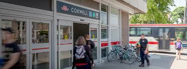 Image result for Speedwell Ttc