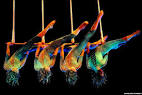 Win 2 CIRQUE DU SOLEIL Tickets! - The Canary District