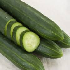 Image result for Gurke