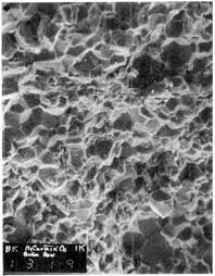 Image result for SEM micrographs of Novaculite Arkansas