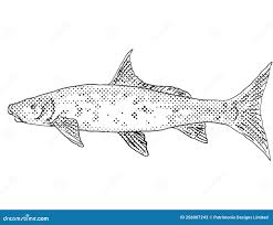 Image result for Cycleptus elongatus