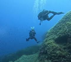 Image result for Calshot Sub-Aqua Club