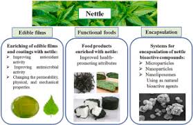 Attēlu rezultāti vaicājumam “Urtica dioica fruit”