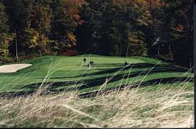 Image result for Boston West Golf Club