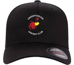 Image result for Croesyceiliog Cricket Club