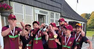 Image result for South Wilts Cricket Club