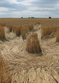 Image result for crop circles