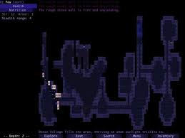 Image result for Brogue: Community Edition