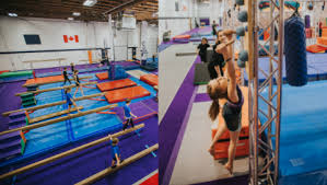 Image result for Vernon Park Gymnastics