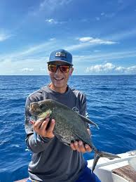 Image result for Caranx lugubris