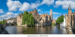 Attēlu rezultāti vaicājumam “Rhabdophaga rosaria”