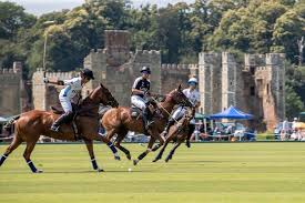 Image result for Cowdray Park Polo Club