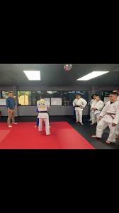 Image result for Horndean Zen Judo Club