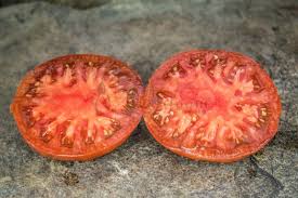 Afbeeldingsresultaat voor CDB tomato