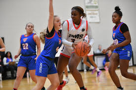 Image result for Elmbridge Girls Basketball Club