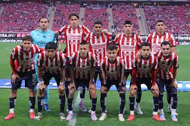 Image result for Universal Martial Arts (Chelmarsh with Neil Morris)