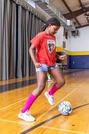 Image result for Durham City Badminton Club