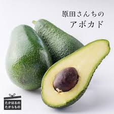 「アボカド大臣」の画像検索結果