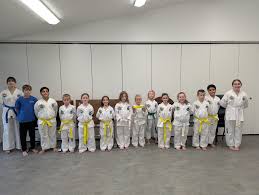Image result for Llantrisant Tkd