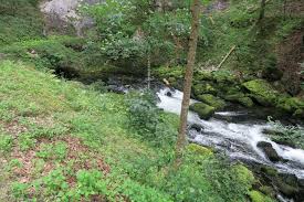 Image result for vallorbe tehron