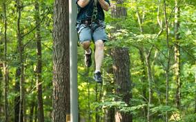 Image result for The Go Ape Experience (Swinley Forest)