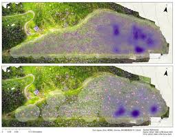 Image result for %EF%BC%92%EF%BC%90%EF%BC%90%EF%BC%B6%E3%80%80%EF%BC%93%E6%9C%AC%E3%